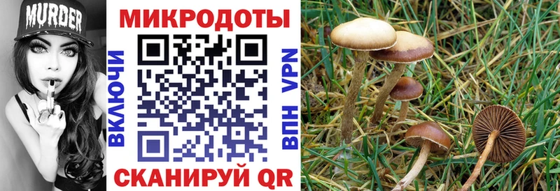 Галлюциногенные грибы мицелий площадка Telegram Благодарный