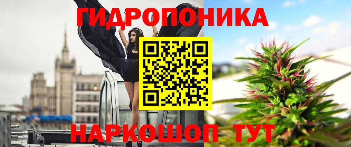 Каннабис AK-47 Благодарный
